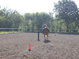 img_0247_web